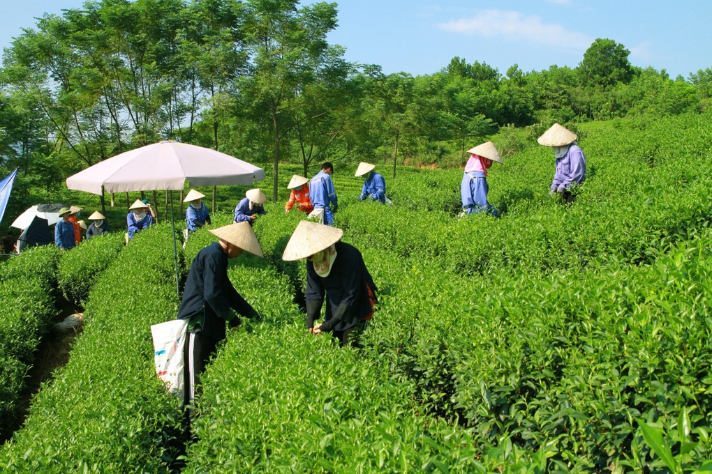 Masan lập cú hat-trick ở 3 hạng mục tiêu biểu về ESG - 3 Masan lập cú hat-trick ở 3 hạng mục tiêu biểu về ESG - 3
