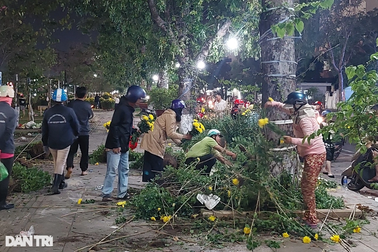 Người bán đập bỏ hoa vì bị ép giá đêm giao thừa