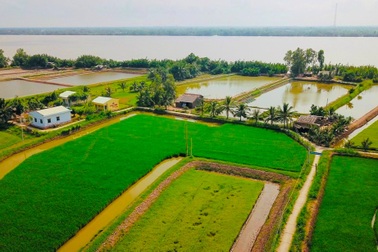 Để nông dân "uyển chuyển dấu chân" trên đồng ruộng