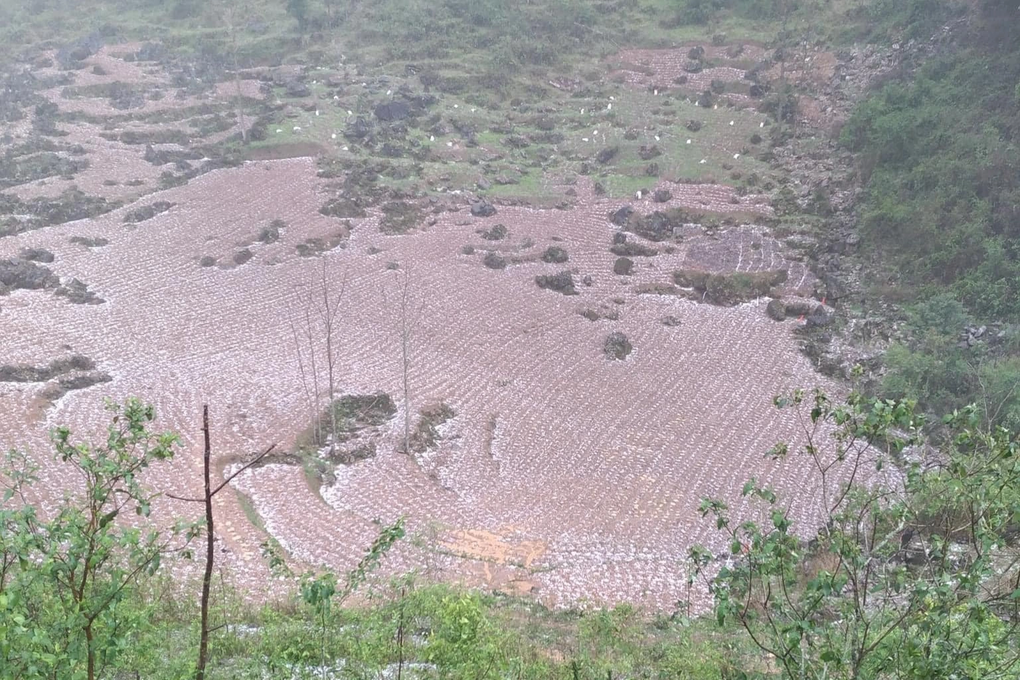 Cao Bằng xuất hiện mưa đá - 4 Cao Bằng xuất hiện mưa đá - 4