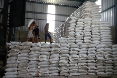 Gạo xuất sang Trung Quốc: Không mốc nhưng vẫn tắc