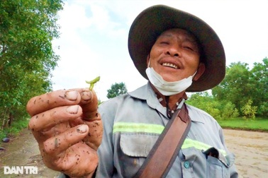 Theo chân thợ săn cào cào, châu chấu "đỉnh" có tiếng ở Đà thành