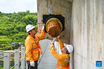 Trung Quốc ban hành cảnh báo cao nhất về siêu bão Gaemi