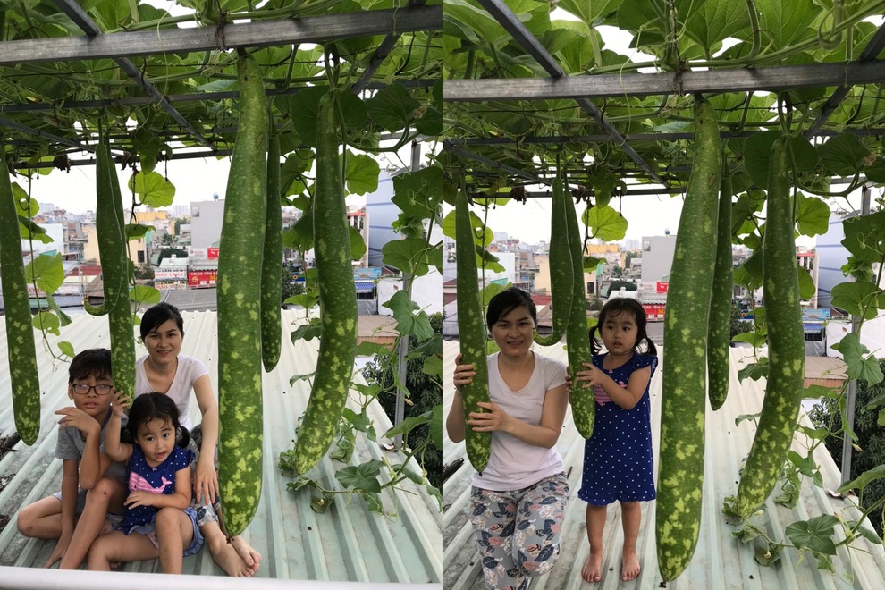 Khu vườn kết hợp nuôi cá giữa Sài thành của người đàn ông đam mê trồng cây - 15