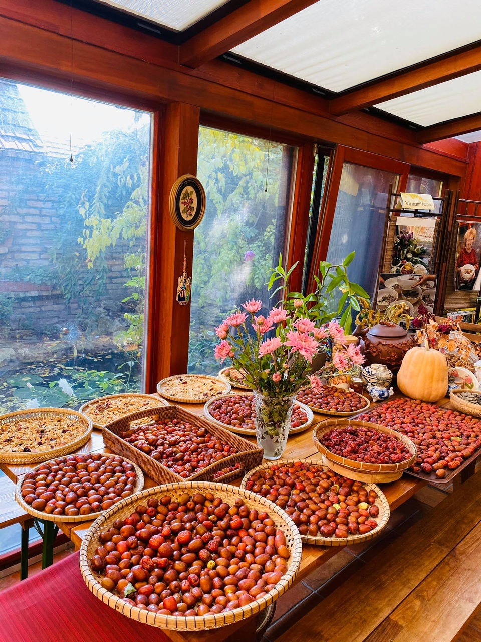 Ngôi nhà phủ kín hoa hồng đẹp không rời mắt của nữ Việt kiều ở Hungary - 11 Ngôi nhà phủ kín hoa hồng đẹp không rời mắt của nữ Việt kiều ở Hungary - 11