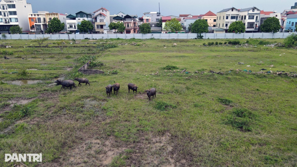 Dự án treo, chậm tiến độ mỗi năm lại tăng, đại biểu Quốc hội hiến kế xử lý - 2 Dự án treo, chậm tiến độ mỗi năm lại tăng, đại biểu Quốc hội hiến kế xử lý - 2