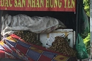 Thực hư “nhãn lồng Hưng Yên xịn” giá siêu rẻ ngập đường phố Hà Nội?