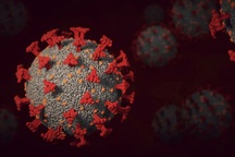 Phát hiện thêm 9 chủng virus corona mới