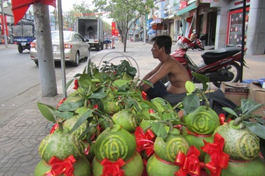 Bưởi hồ lô ế khách, rớt giá thảm hại
