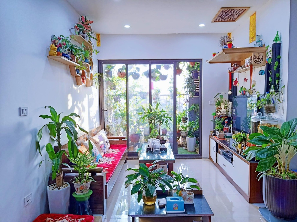 Gia chủ Hà Nội làm khu vườn xanh tốt hơn trăm loài cây ở ban công - 1 Gia chủ Hà Nội làm khu vườn xanh tốt hơn trăm loài cây ở ban công - 1