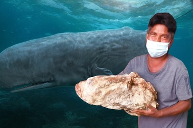 Long diên hương là gì mà nhiều người truy tìm?