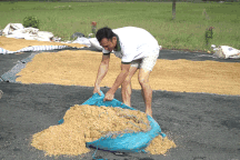 Xe hư, thóc ướt: Người dân Hòa Thịnh bắt đầu lại sau lũ