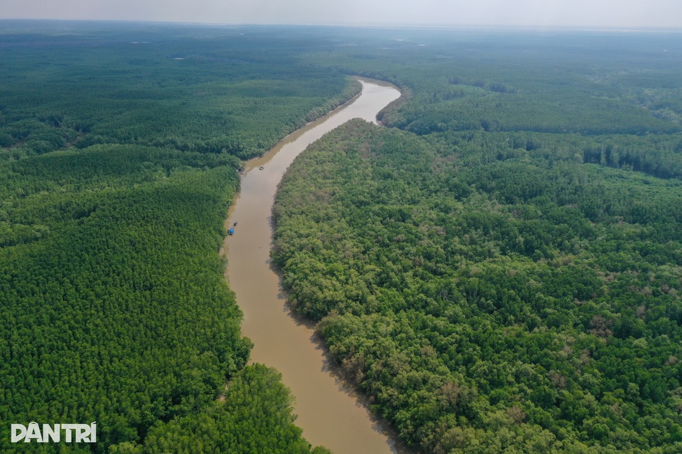 Giữ rừng, để không “rưng rưng nước mắt” - 1