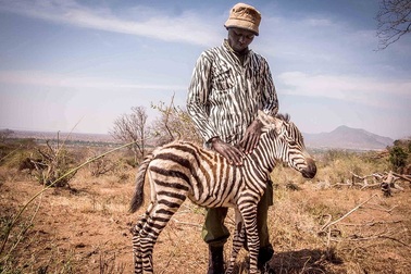 Bức ảnh kể về sự tồn tại khắc nghiệt trong thế giới tự nhiên