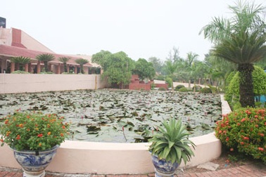 Người Hà Nội bàn chuyện... “hậu sự”