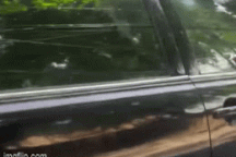 Để trẻ ngồi lòng lái ô tô chẳng khác nào "trứng để đầu gậy"