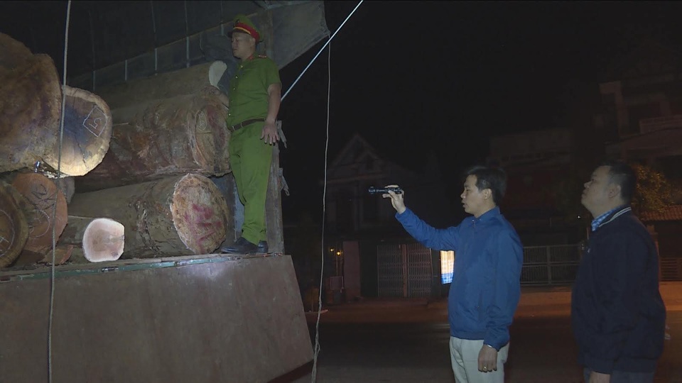 Bị lộ tẩy khi sử dụng hồ sơ giả để vận chuyển gỗ đi tiêu thụ - 1 Bị lộ tẩy khi sử dụng hồ sơ giả để vận chuyển gỗ đi tiêu thụ - 1