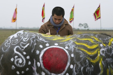 “Tuyệt phẩm” trên lưng trâu