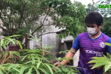 Chàng trai 9X thành công với việc nuôi dế ở vùng khó