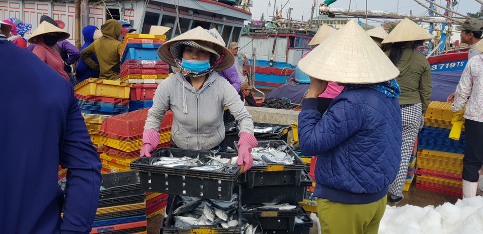 Quảng Trị: Ngư dân thu gần trăm triệu đồng nhờ trúng “lộc biển” đầu năm - 8 Quảng Trị: Ngư dân thu gần trăm triệu đồng nhờ trúng “lộc biển” đầu năm - 8