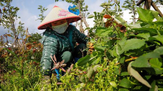 Trở lại Sun World, du khách ngỡ ngàng - Ảnh 7.