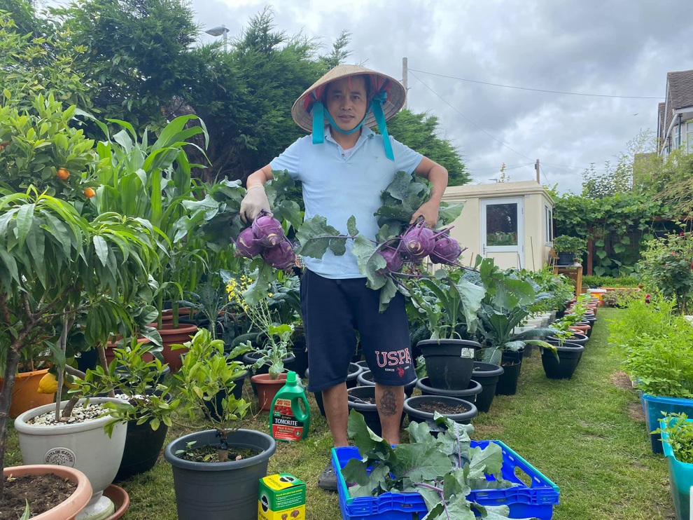 Những khu vườn sum suê rau, trái của các ông bố Việt ở trời Tây - 7 Những khu vườn sum suê rau, trái của các ông bố Việt ở trời Tây - 7