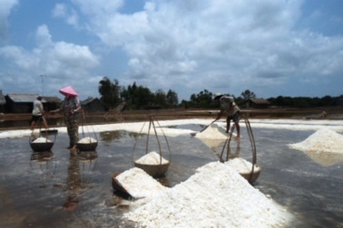 Muối thêm “mặn” do được mùa, mất giá