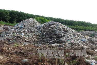Sẽ quan trắc môi trường tại các bãi rác tạm, khu chăn nuôi tập trung