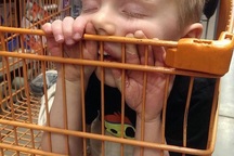 Chùm ảnh vui: "Những đứa trẻ bạ đâu ngủ đấy"