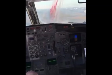 Khoảnh khắc chim đâm vào kính buồng lái khi máy bay sắp hạ cánh