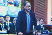 Ông Nguyễn Cao Trí nói đã chọn cách sai lầm khi bà Trương Mỹ Lan bị bắt