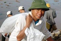 Chùm ảnh cứu hộ đê ở Nam Định