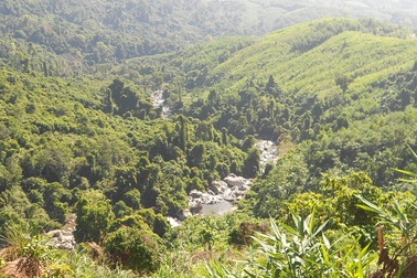 Lâm tặc thuê người "bắn tỉa" rừng đặc dụng đầu nguồn