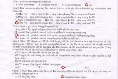 Hướng dẫn giải đề thi Cao đẳng môn Sinh học năm 2014