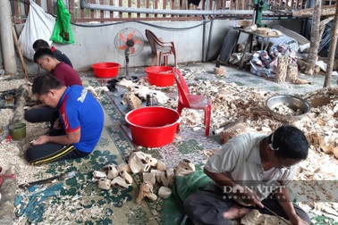 Những lão nông cược mạng, ngậm ngải tìm trầm: Bát cơm ở gần bát máu!