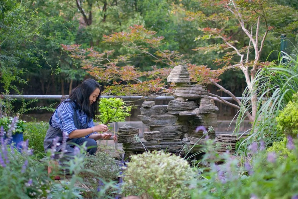 Nghỉ hưu sớm, người phụ nữ về ngoại ô sống an yên bên khu vườn trăm hoa - 4