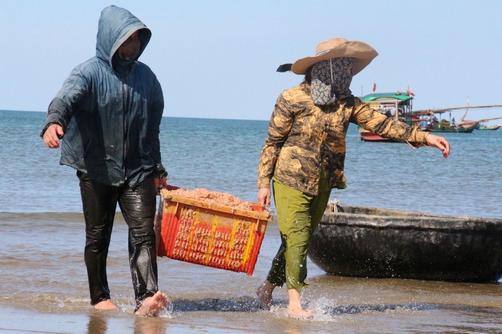 Ngư dân trúng mùa ruốc, thu tiền triệu mỗi ngày - 6 Ngư dân trúng mùa ruốc, thu tiền triệu mỗi ngày - 6