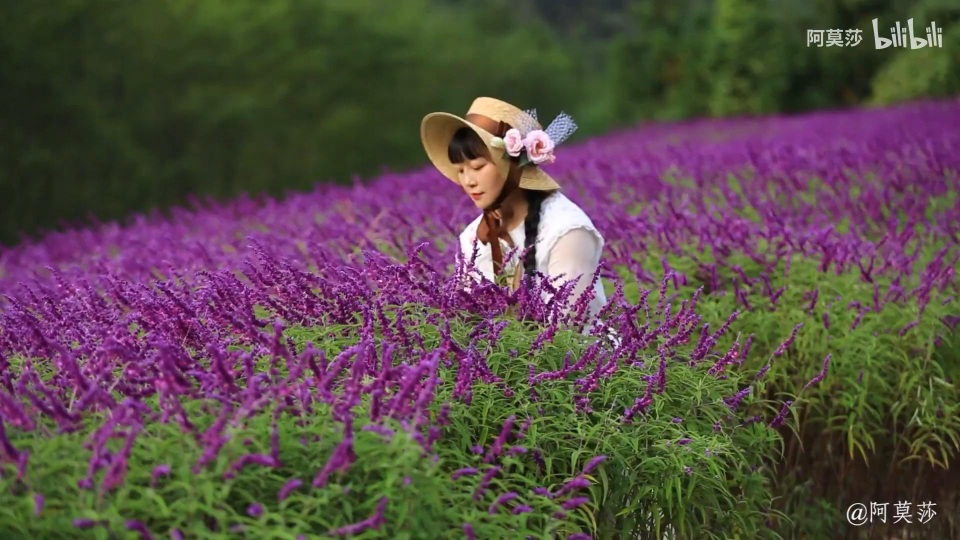 Bỏ phố về quê làm vườn, cô gái vô danh bỗng trở nên nổi tiếng - 2 Bỏ phố về quê làm vườn, cô gái vô danh bỗng trở nên nổi tiếng - 2
