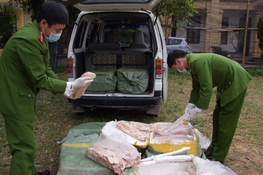 Bắt vụ vận chuyển 450kg nầm lợn hôi thối