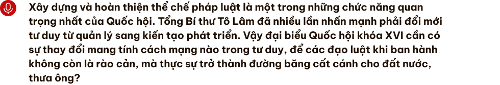 Đại biểu Quốc hội cần năng lực kiến tạo thể chế thay vì “chỉ bấm nút” - 9