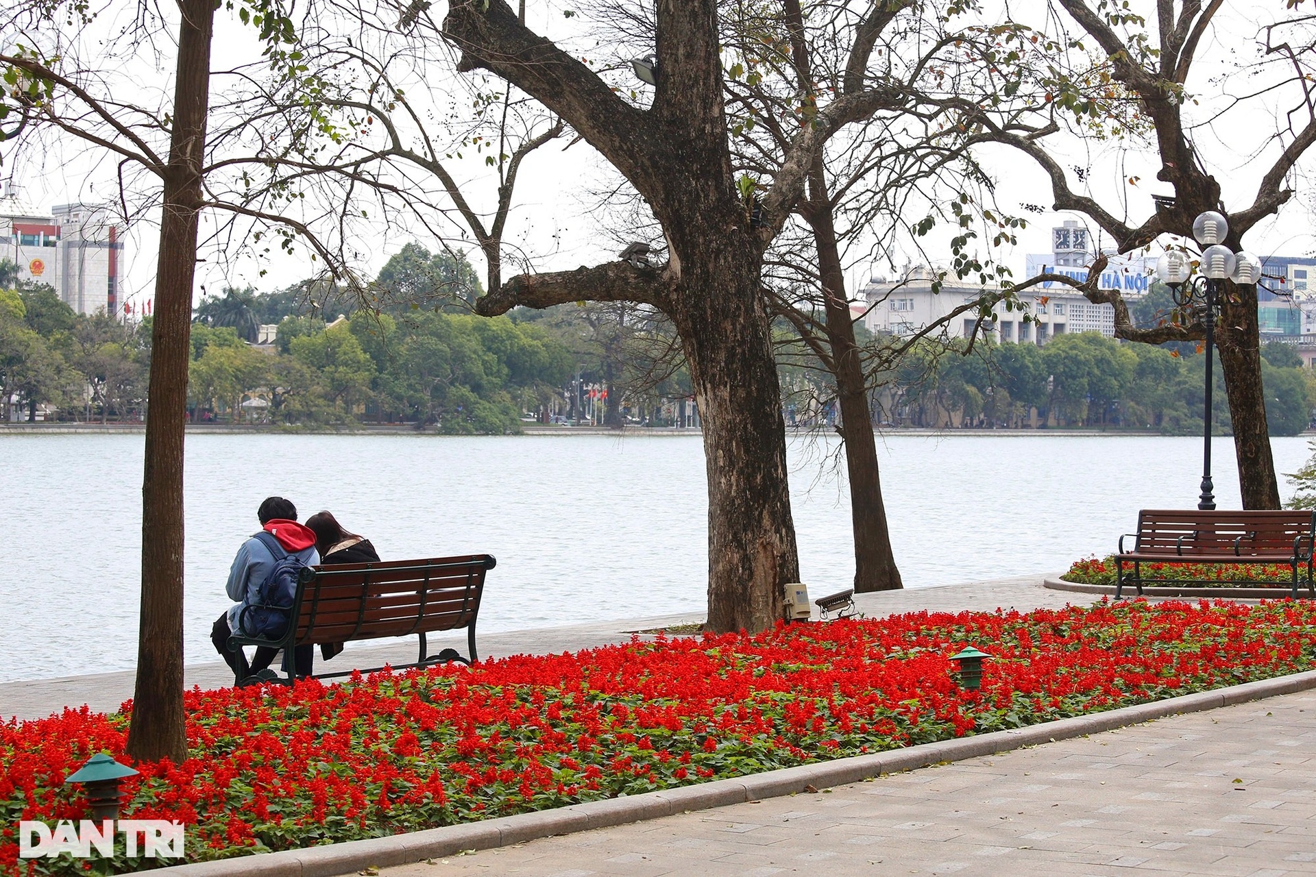 Nắng ấm trong nhiều ngày, người dân Thủ đô dạo phố tận hưởng thời tiết đẹp - 5