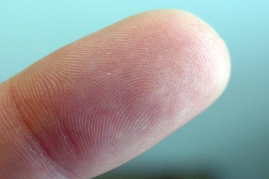 Phát hiện mới về độ nhạy của đầu ngón tay con người