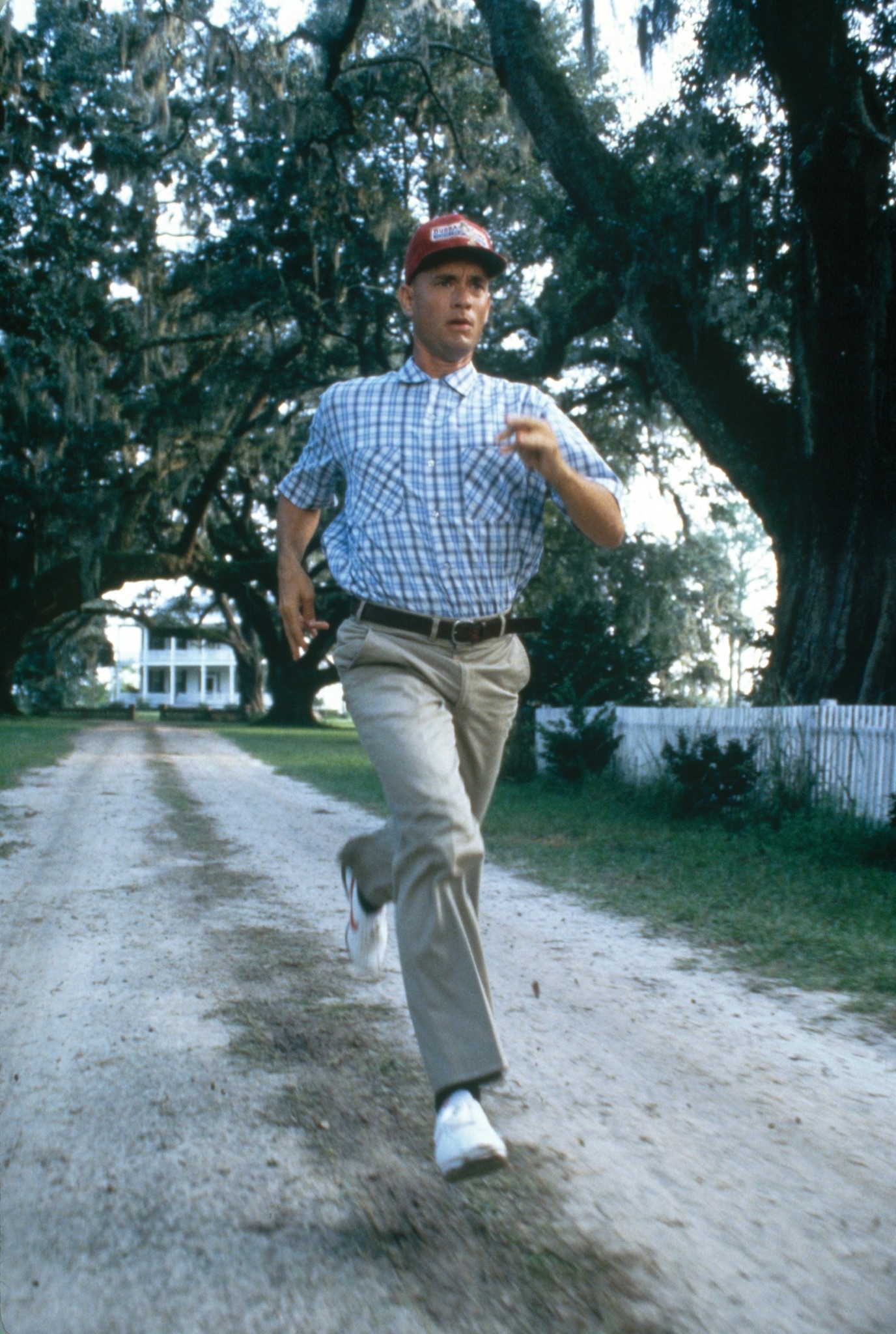 Forrest Gump: Bài thiền giữa cuộc sống nhiều biến động - 2 Forrest Gump: Bài thiền giữa cuộc sống nhiều biến động - 2