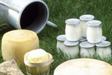 Khi nào cho bé ăn phô mai, sữa chua?