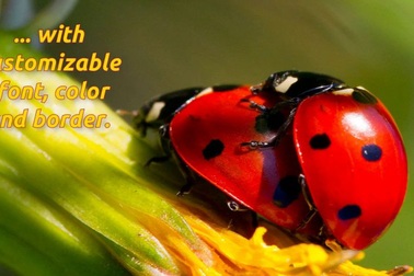 Các hiệu ứng slideshow chuyên nghiệp trên phần mềm AquaSoft Slideshow Premium