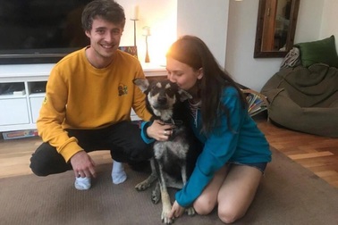 "Mái ấm" của những thú cưng bị bỏ rơi tại Hà Nội