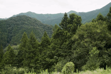 Bí mật của những cư dân ở ngôi làng không nhìn thấy rác ngoài đường