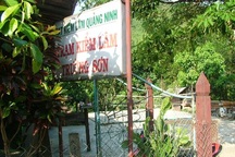 Thêm 3 cây sưa trăm tỷ bị chặt hạ: Sự thật hay lâm tặc tung tin?