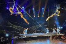 Bạt lưới rách bất ngờ khiến nghệ sĩ xiếc... ngã lộn nhào