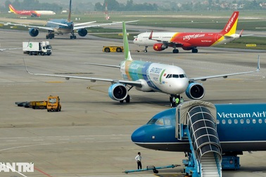 Cả đàn chó thả rông trong khu bay đe dọa nghiêm trọng an toàn hàng không